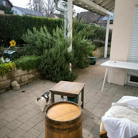 Weinbergblick