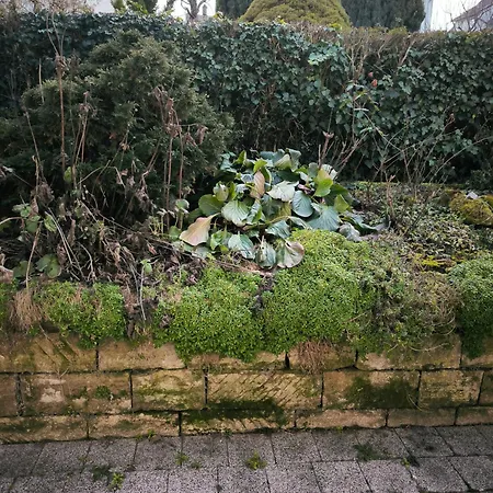 דירה Weinbergblick