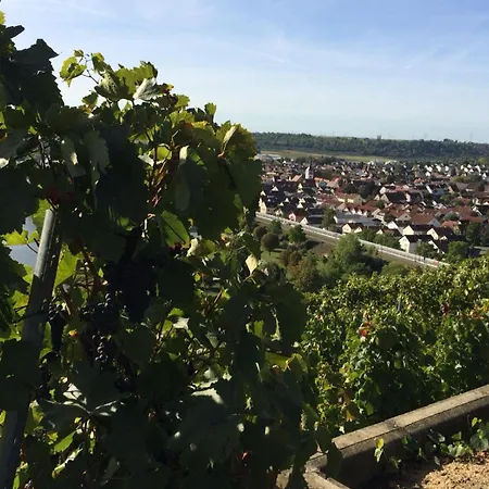Weinbergblick המבורג