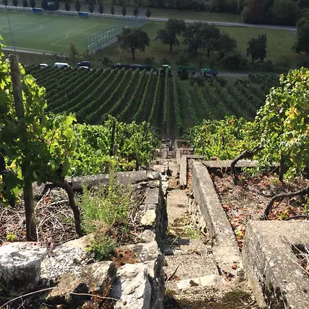 Weinbergblick דירה *
